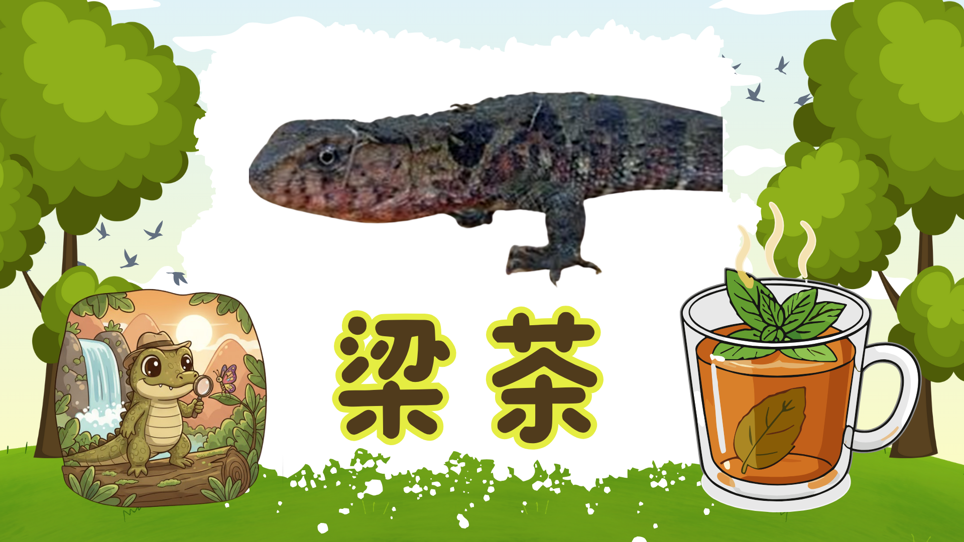 蜥蝪命名比賽結果